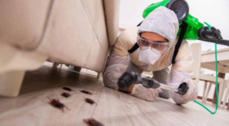 5 important reasons for hiring a good pest control service.